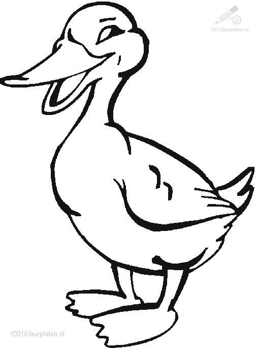 Dibujo para colorear: Pato (Animales) #1481 - Dibujos para Colorear e Imprimir Gratis