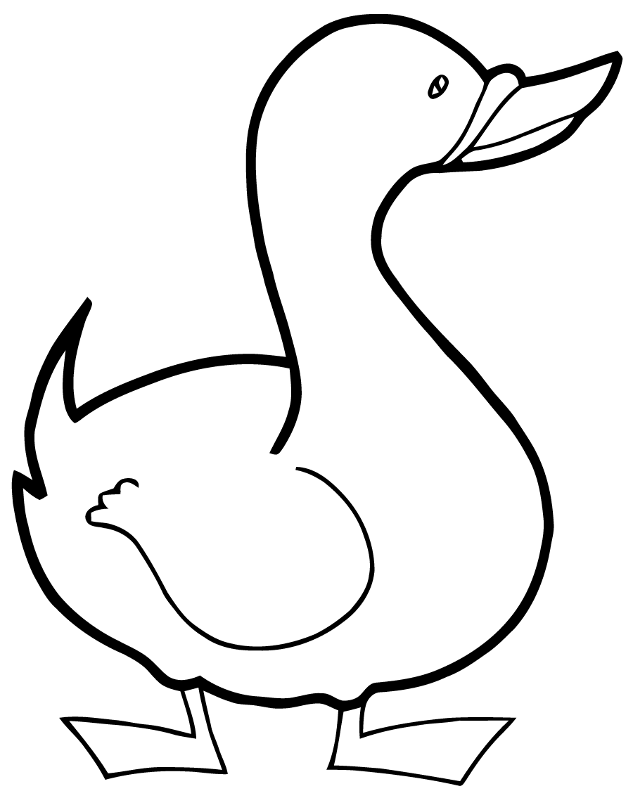 Dibujo para colorear: Pato (Animales) #1484 - Dibujos para Colorear e Imprimir Gratis
