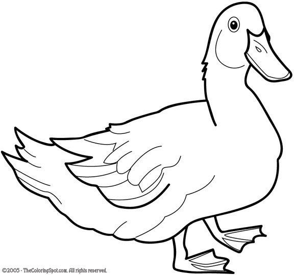 Dibujo para colorear: Pato (Animales) #1490 - Dibujos para Colorear e Imprimir Gratis