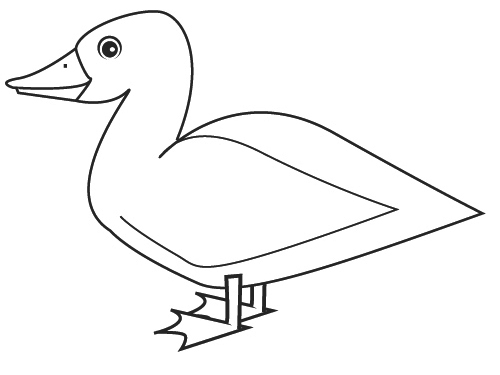 Dibujo para colorear: Pato (Animales) #1492 - Dibujos para Colorear e Imprimir Gratis
