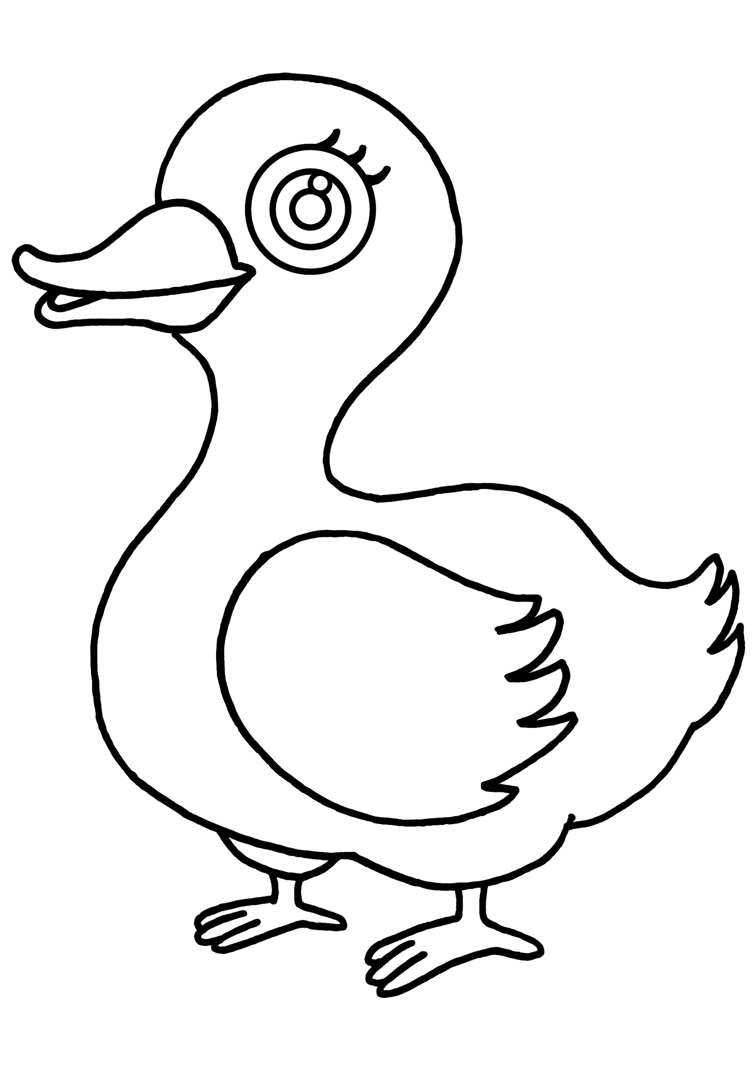 Dibujo para colorear: Pato (Animales) #1507 - Dibujos para Colorear e Imprimir Gratis