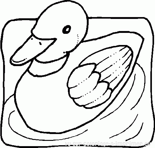 Dibujo para colorear: Pato (Animales) #1508 - Dibujos para Colorear e Imprimir Gratis