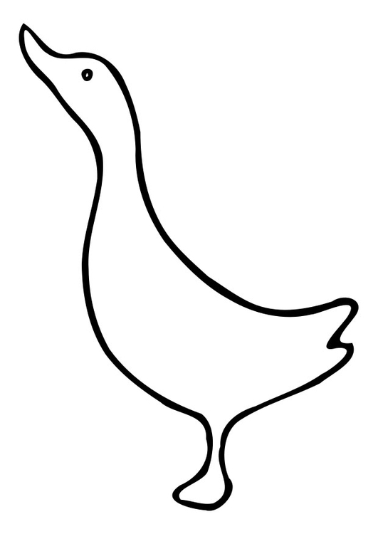 Dibujo para colorear: Pato (Animales) #1514 - Dibujos para Colorear e Imprimir Gratis