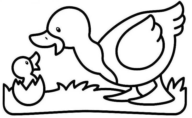 Dibujo para colorear: Pato (Animales) #1516 - Dibujos para Colorear e Imprimir Gratis