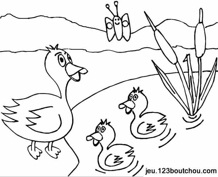 Dibujo para colorear: Pato (Animales) #1517 - Dibujos para Colorear e Imprimir Gratis
