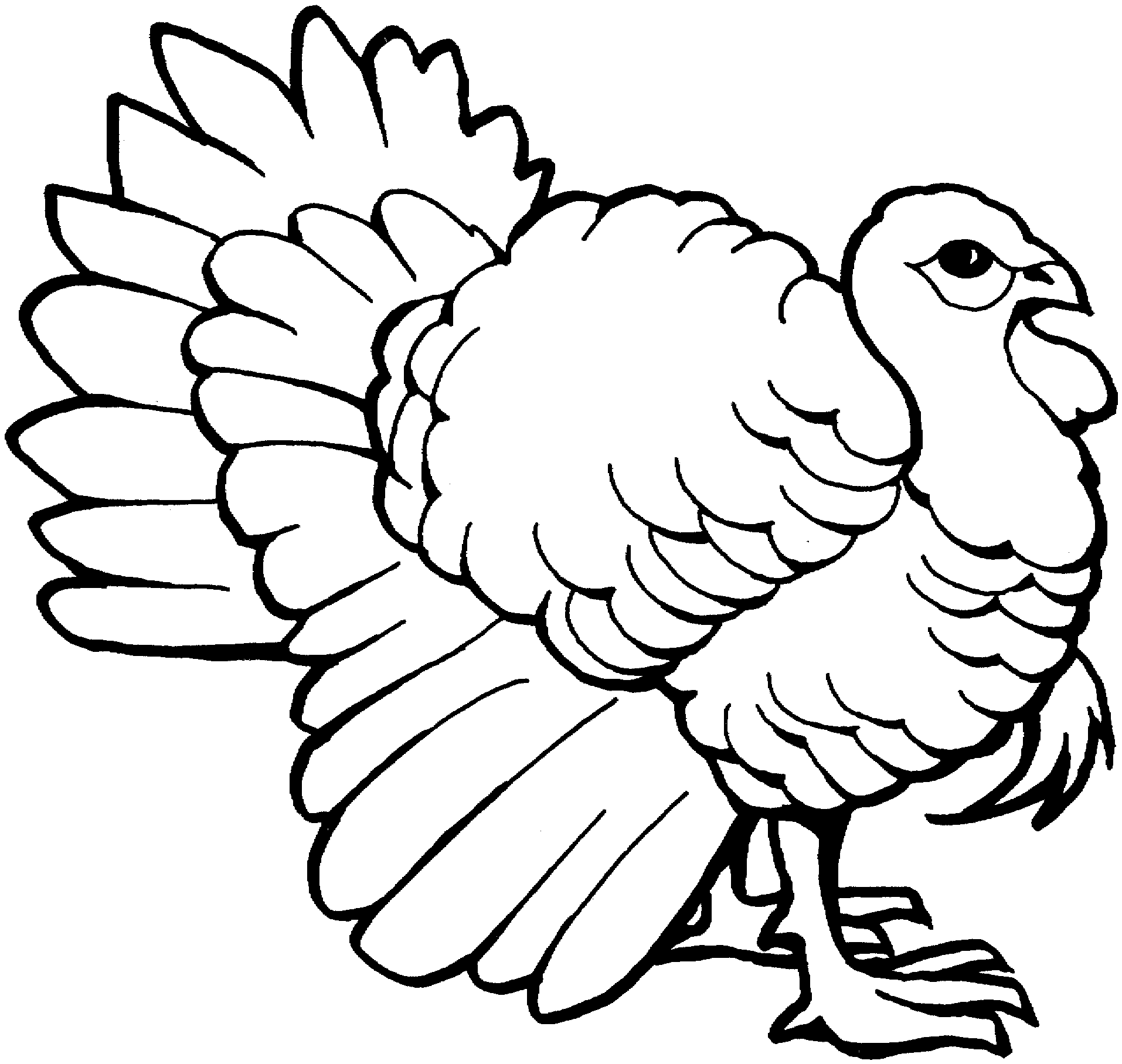 Dibujo para colorear: Pavo (Animales) #5315 - Dibujos para Colorear e Imprimir Gratis