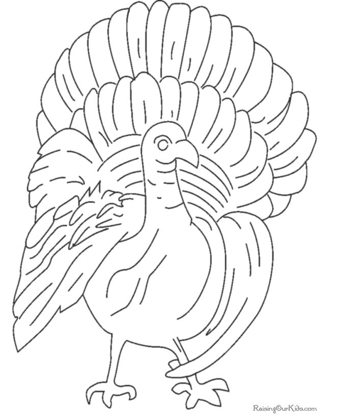Dibujo para colorear: Pavo (Animales) #5482 - Dibujos para Colorear e Imprimir Gratis