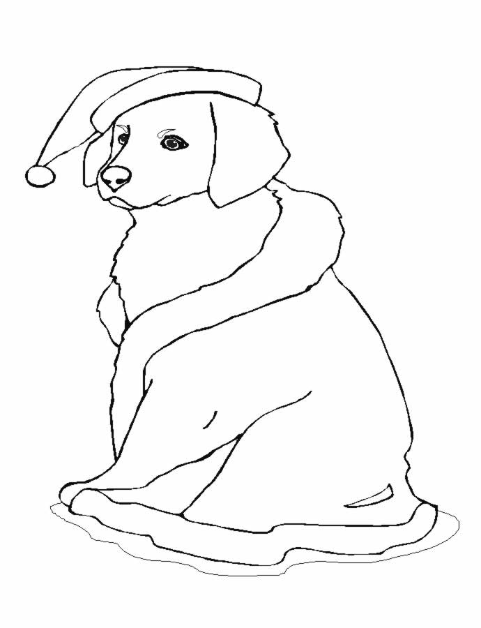 Dibujo para colorear: Perro (Animales) #19 - Dibujos para Colorear e Imprimir Gratis