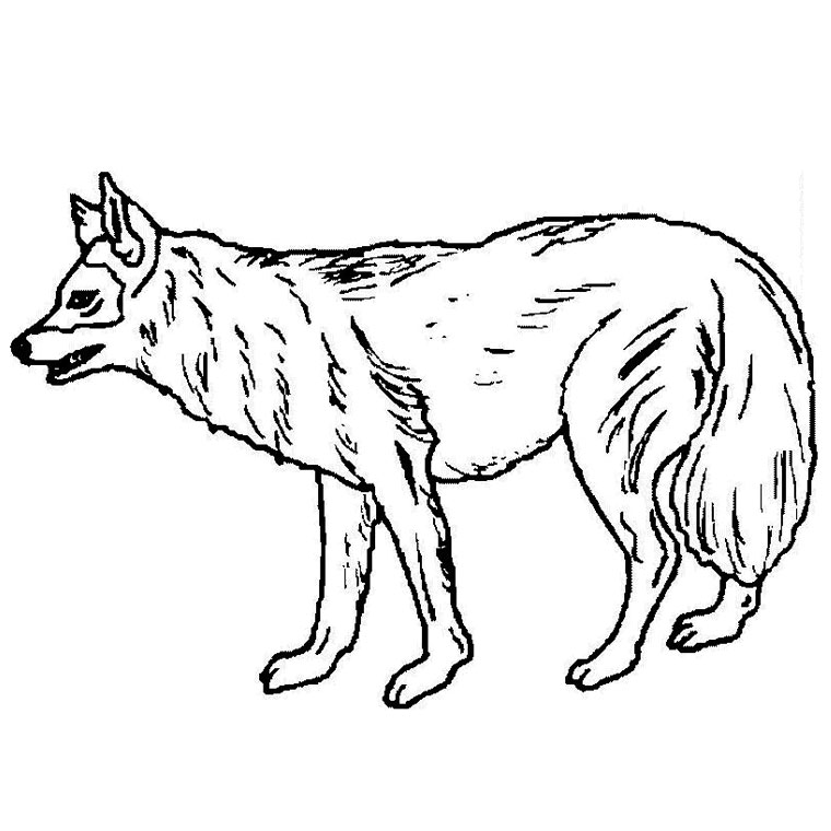 Dibujo para colorear: Perro (Animales) #21 - Dibujos para Colorear e Imprimir Gratis