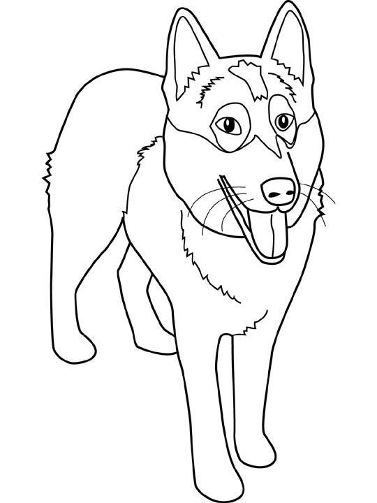 Dibujo para colorear: Perro (Animales) #30 - Dibujos para Colorear e Imprimir Gratis