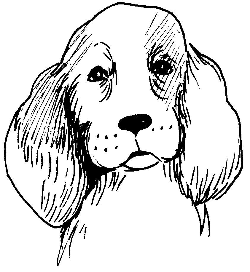 Dibujo para colorear: Perro (Animales) #3184 - Dibujos para Colorear e Imprimir Gratis