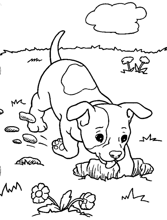 Dibujo para colorear: Perro (Animales) #44 - Dibujos para Colorear e Imprimir Gratis