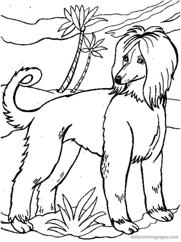 Dibujo para colorear: Perro (Animales) #50 - Dibujos para Colorear e Imprimir Gratis