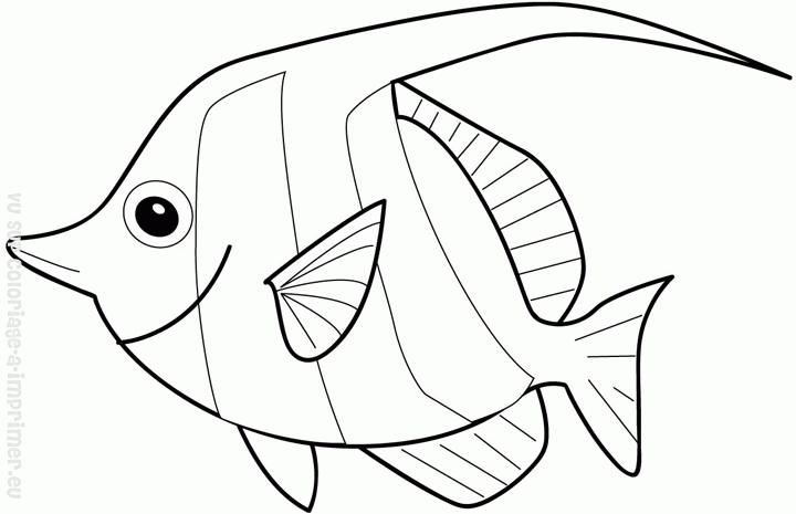 Dibujo para colorear: Pescado (Animales) #17122 - Dibujos para Colorear e Imprimir Gratis