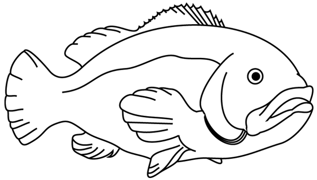 Dibujo para colorear: Pescado (Animales) #17124 - Dibujos para Colorear e Imprimir Gratis