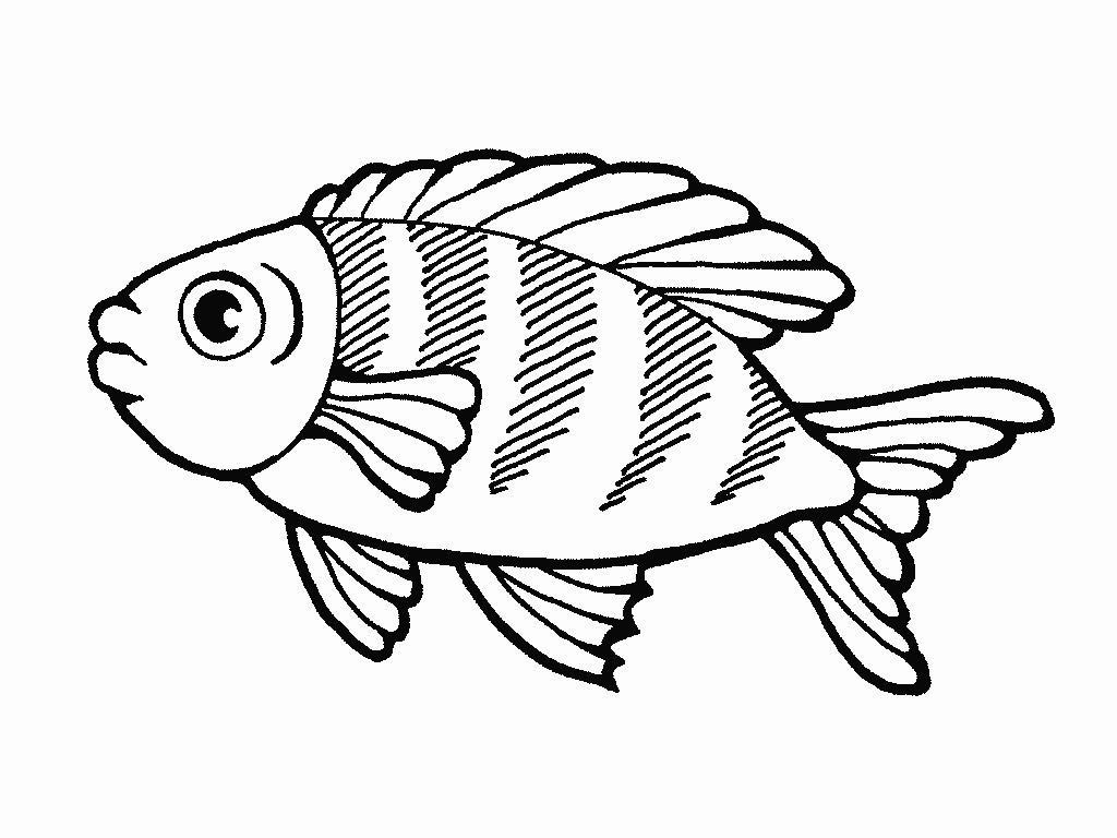 Dibujo para colorear: Pescado (Animales) #17135 - Dibujos para Colorear e Imprimir Gratis