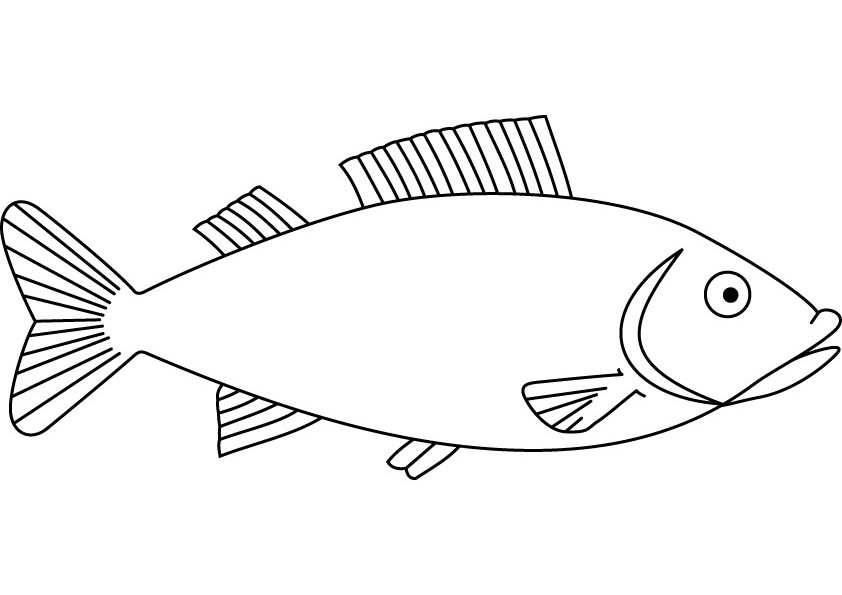 Dibujo para colorear: Pescado (Animales) #17171 - Dibujos para Colorear e Imprimir Gratis