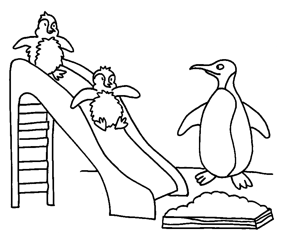 Dibujo para colorear: Pingüino (Animales) #16825 - Dibujos para Colorear e Imprimir Gratis