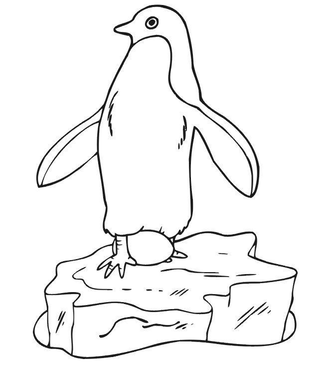 Dibujo para colorear: Pingüino (Animales) #16864 - Dibujos para Colorear e Imprimir Gratis