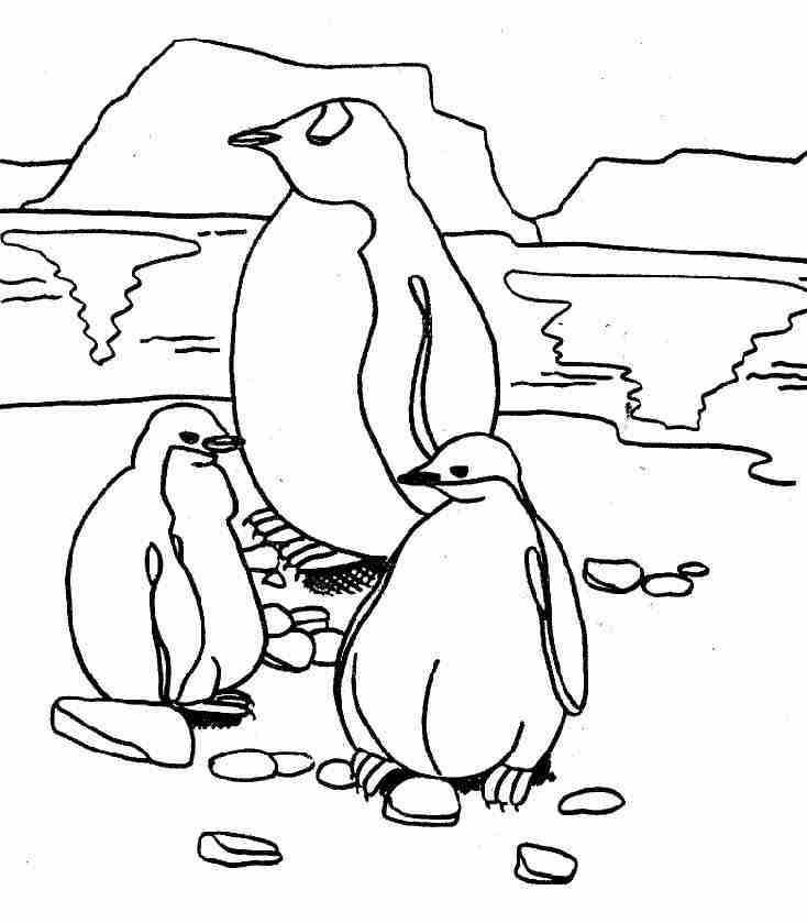 Dibujo para colorear: Pingüino (Animales) #16876 - Dibujos para Colorear e Imprimir Gratis