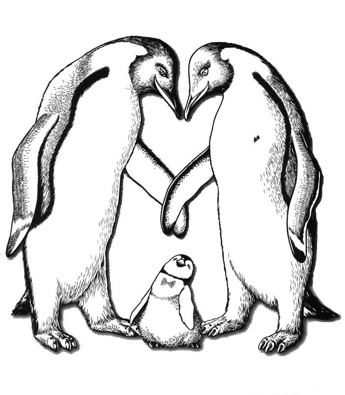 Dibujo para colorear: Pingüino (Animales) #16884 - Dibujos para Colorear e Imprimir Gratis