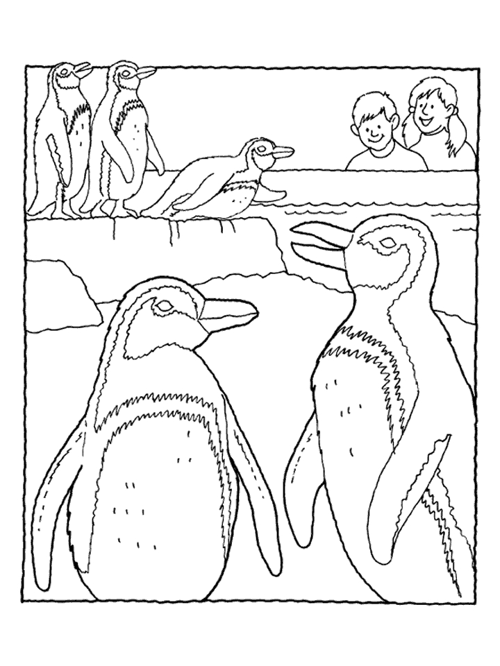 Dibujo para colorear: Pingüino (Animales) #16901 - Dibujos para Colorear e Imprimir Gratis