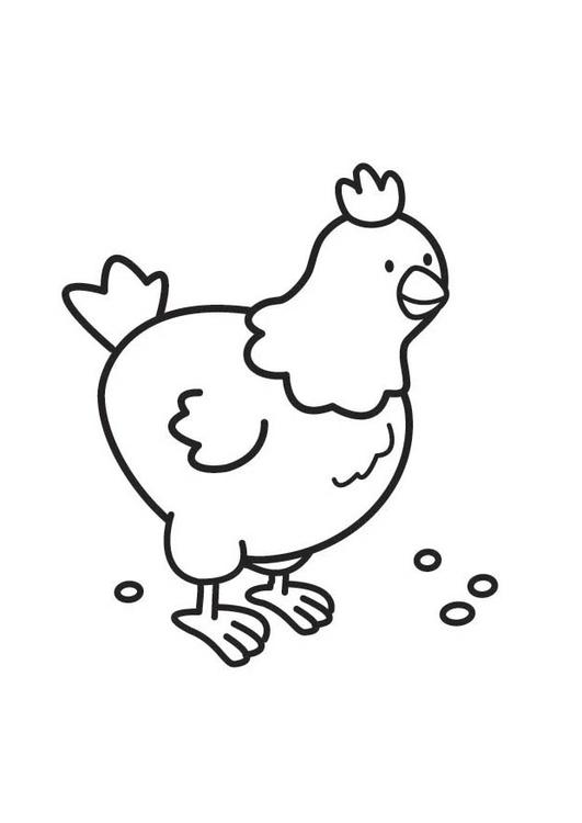 Dibujo para colorear: Pollo (Animales) #17279 - Dibujos para Colorear e Imprimir Gratis