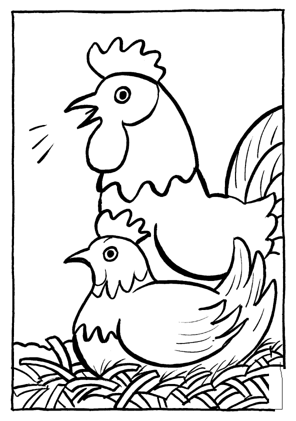 Dibujo para colorear: Pollo (Animales) #17339 - Dibujos para Colorear e Imprimir Gratis