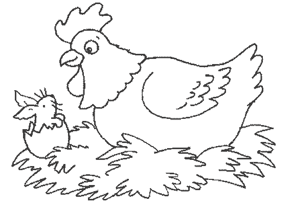 Dibujo para colorear: Pollo (Animales) #17350 - Dibujos para Colorear e Imprimir Gratis