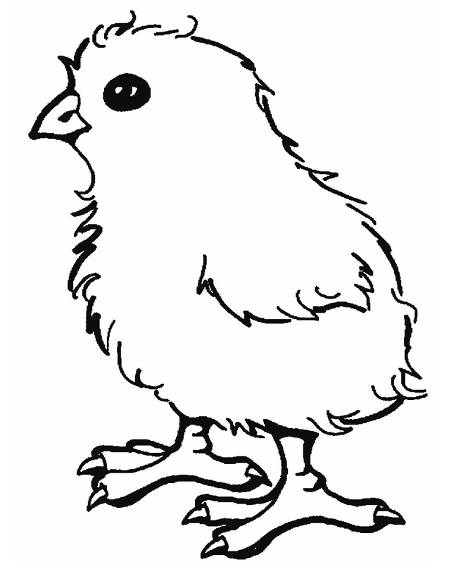 Dibujo para colorear: Polluelo (Animales) #15311 - Dibujos para Colorear e Imprimir Gratis