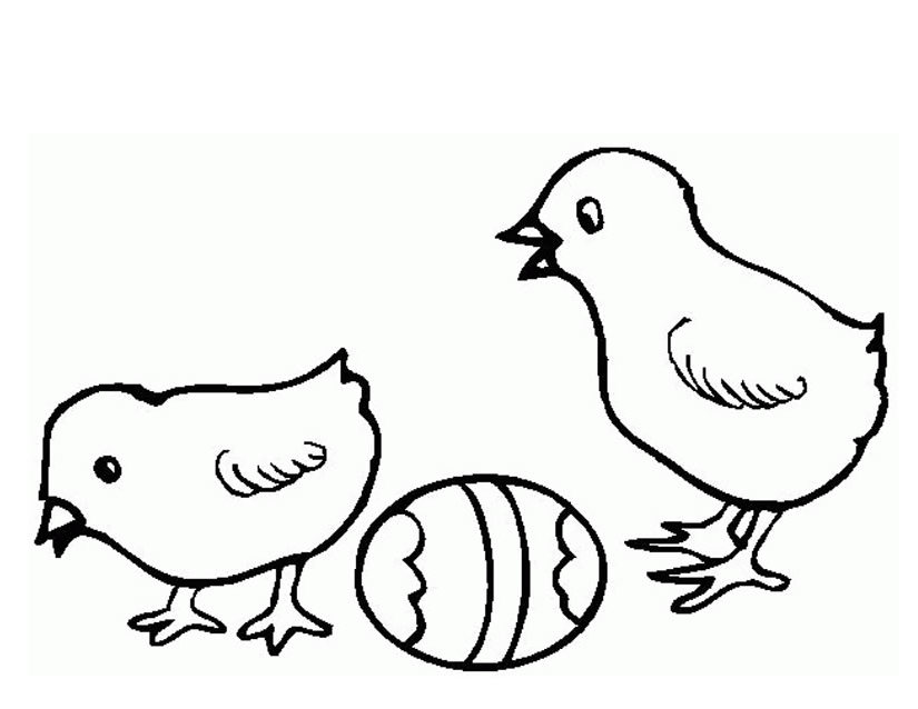 Dibujo para colorear: Polluelo (Animales) #15416 - Dibujos para Colorear e Imprimir Gratis