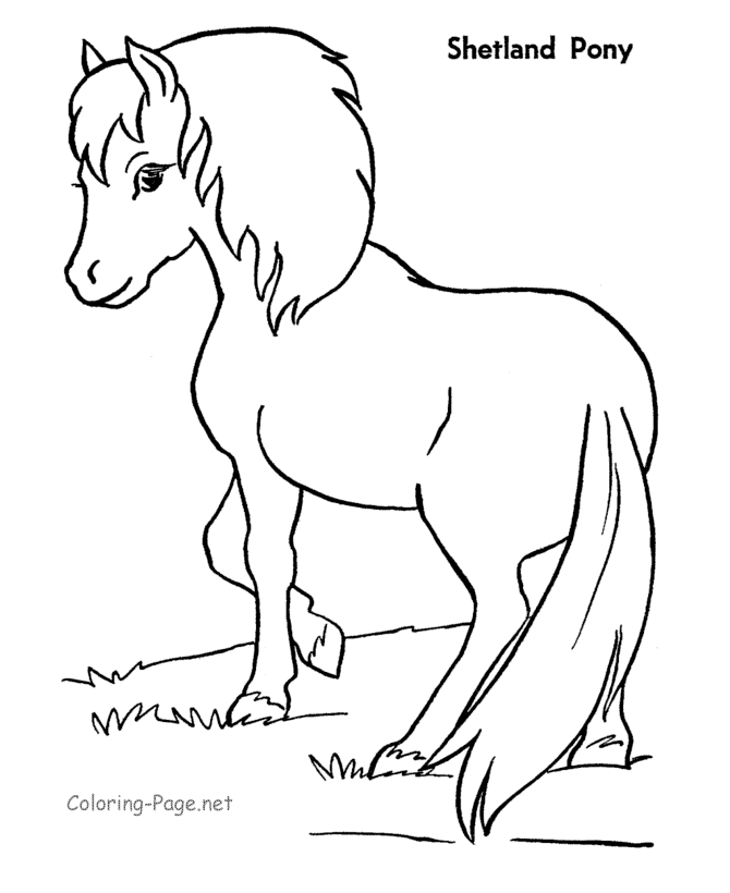 Dibujo para colorear: Poni (Animales) #17946 - Dibujos para Colorear e Imprimir Gratis