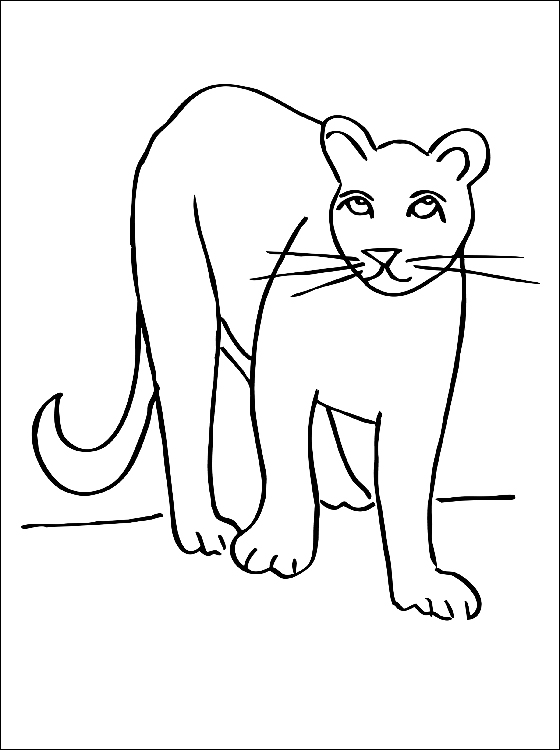 Dibujo para colorear: Puma (Animales) #4384 - Dibujos para Colorear e Imprimir Gratis