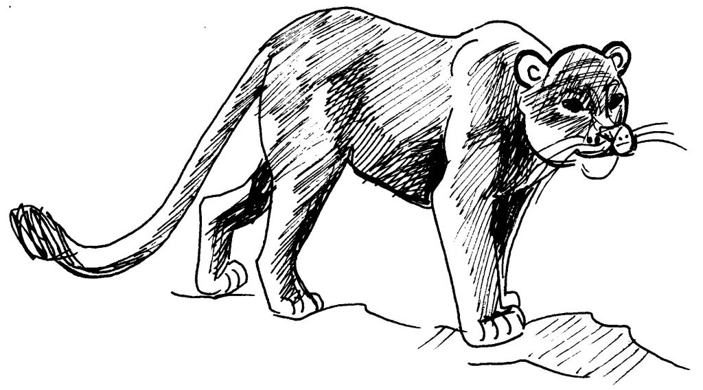 Dibujo para colorear: Puma (Animales) #4385 - Dibujos para Colorear e Imprimir Gratis