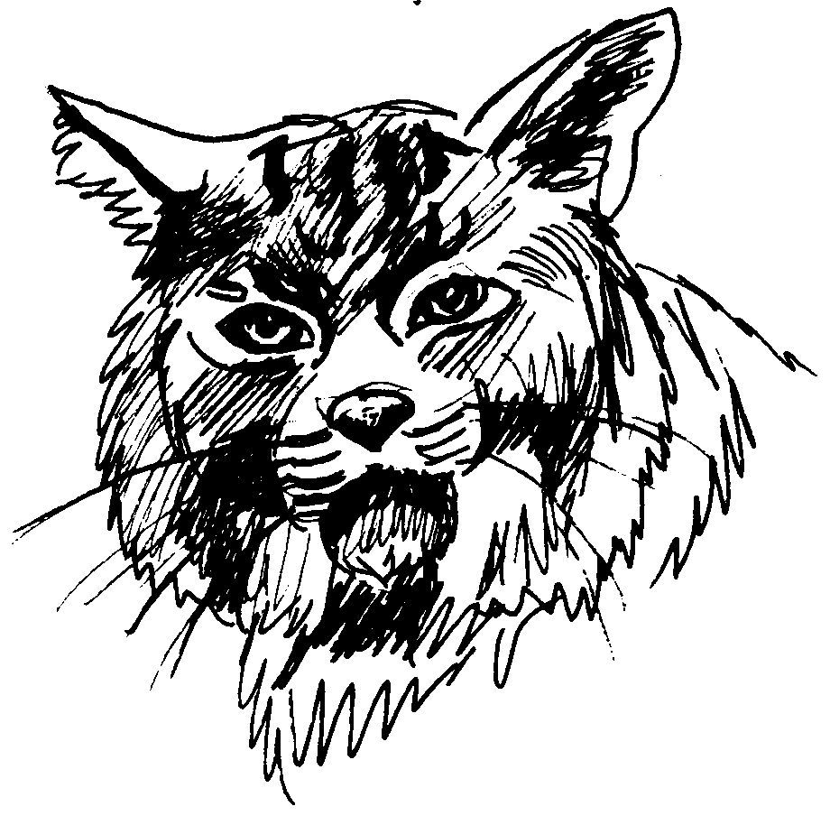 Dibujo para colorear: Puma (Animales) #4398 - Dibujos para Colorear e Imprimir Gratis