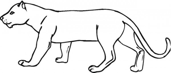 Dibujo para colorear: Puma (Animales) #4404 - Dibujos para Colorear e Imprimir Gratis