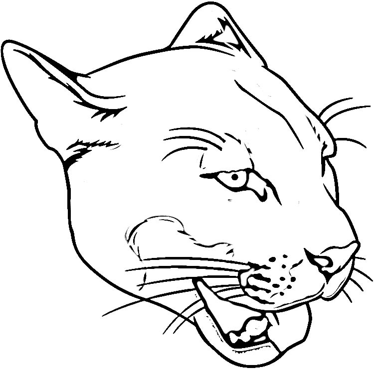 Dibujo para colorear: Puma (Animales) #4415 - Dibujos para Colorear e Imprimir Gratis