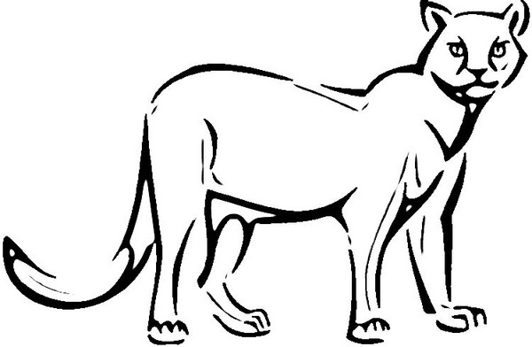 Dibujo para colorear: Puma (Animales) #4441 - Dibujos para Colorear e Imprimir Gratis