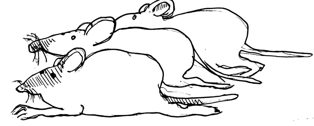 Dibujo para colorear: Rata (Animales) #15168 - Dibujos para Colorear e Imprimir Gratis