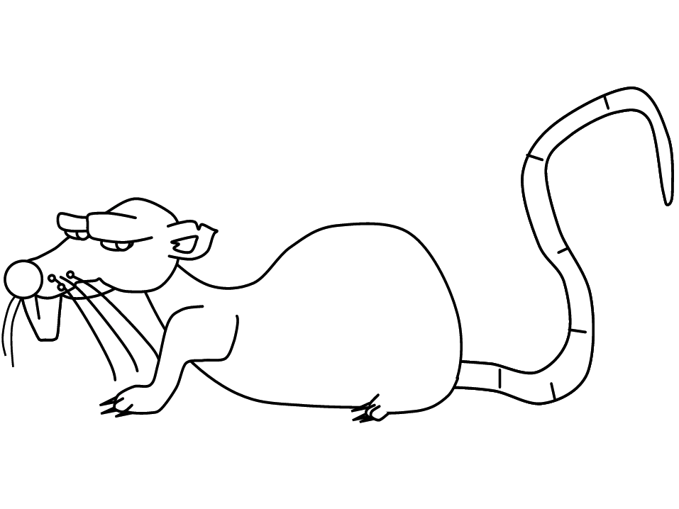 Dibujo para colorear: Rata (Animales) #15176 - Dibujos para Colorear e Imprimir Gratis