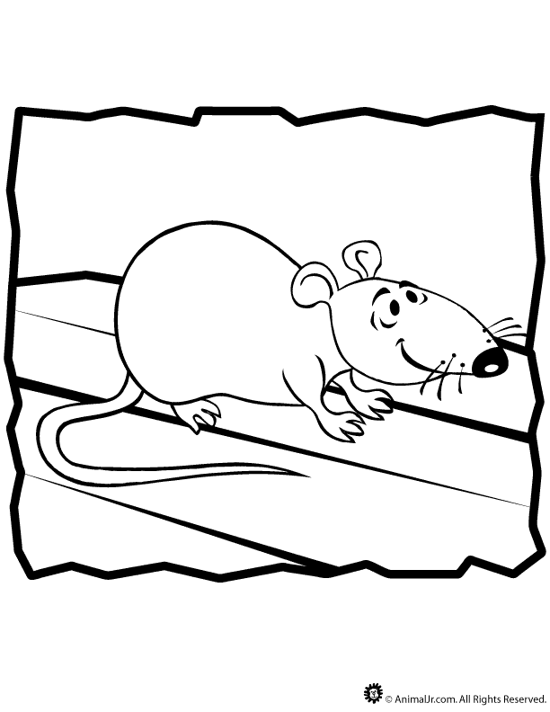 Dibujo para colorear: Rata (Animales) #15202 - Dibujos para Colorear e Imprimir Gratis