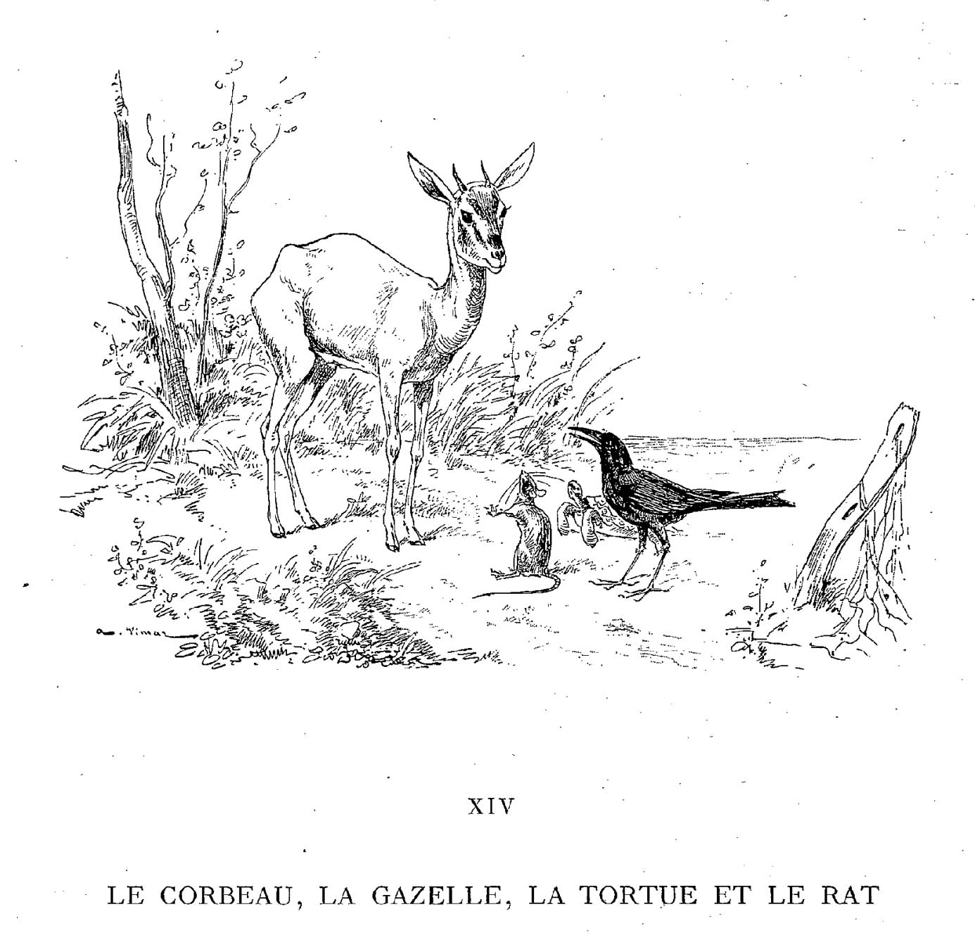 Dibujo para colorear: Rata (Animales) #15204 - Dibujos para Colorear e Imprimir Gratis
