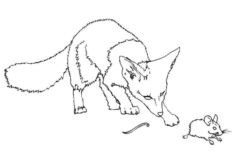 Dibujo para colorear: Rata (Animales) #15213 - Dibujos para Colorear e Imprimir Gratis
