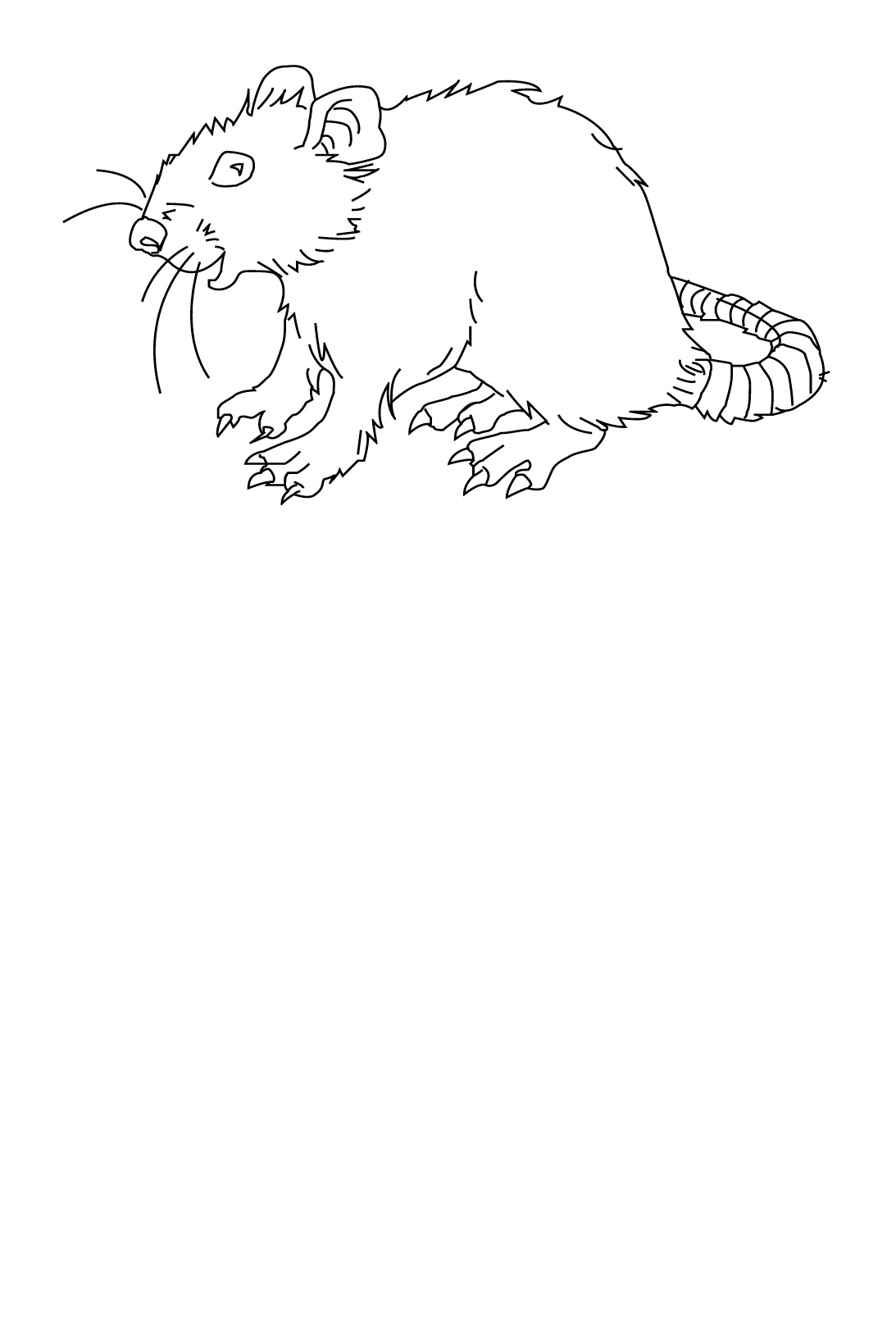 Dibujo para colorear: Rata (Animales) #15215 - Dibujos para Colorear e Imprimir Gratis