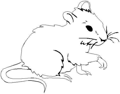 Dibujo para colorear: Rata (Animales) #15249 - Dibujos para Colorear e Imprimir Gratis