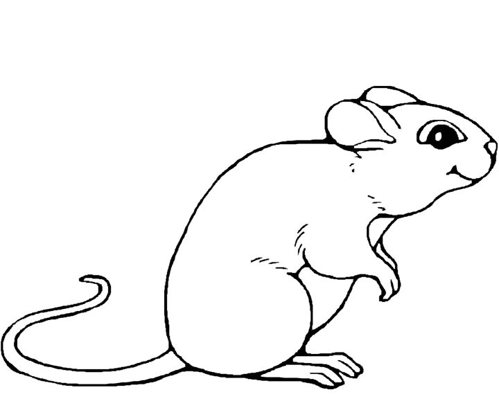 Dibujo para colorear: Ratón (Animales) #13947 - Dibujos para Colorear e Imprimir Gratis