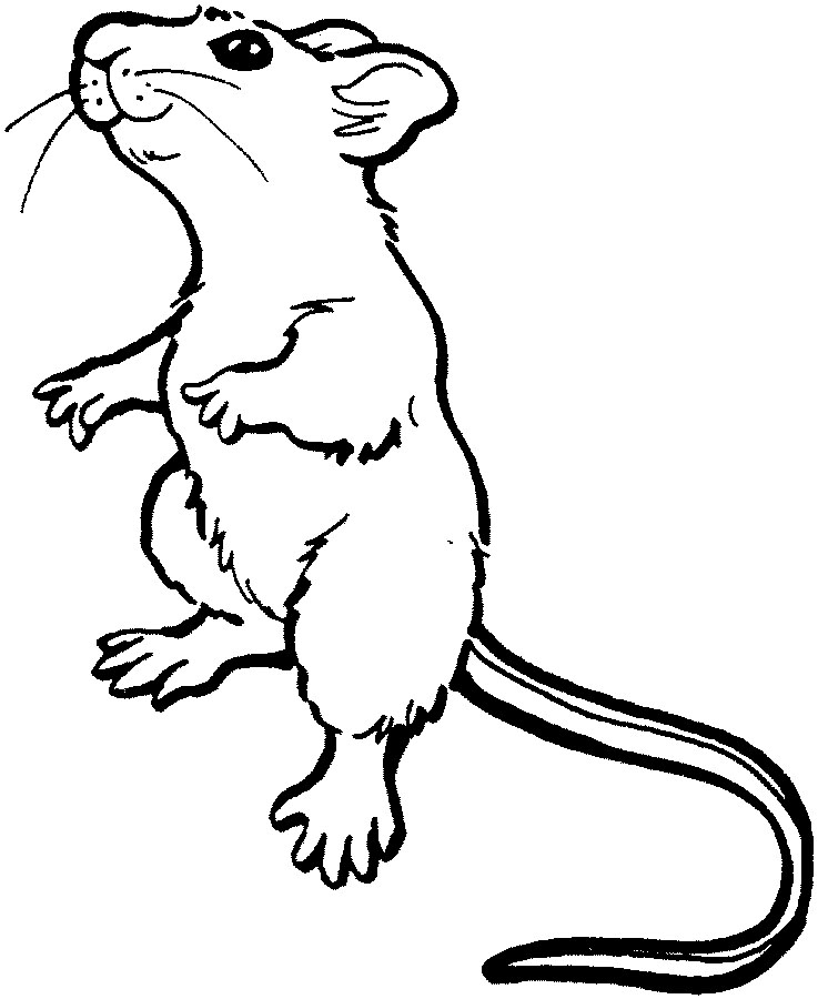 Dibujo para colorear: Ratón (Animales) #13953 - Dibujos para Colorear e Imprimir Gratis