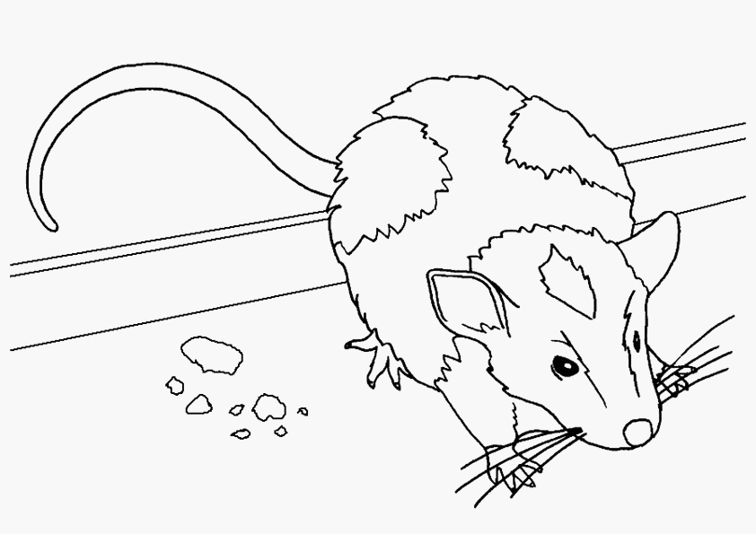 Dibujo para colorear: Ratón (Animales) #13963 - Dibujos para Colorear e Imprimir Gratis
