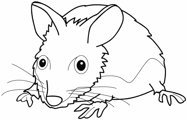 Dibujo para colorear: Ratón (Animales) #14130 - Dibujos para Colorear e Imprimir Gratis