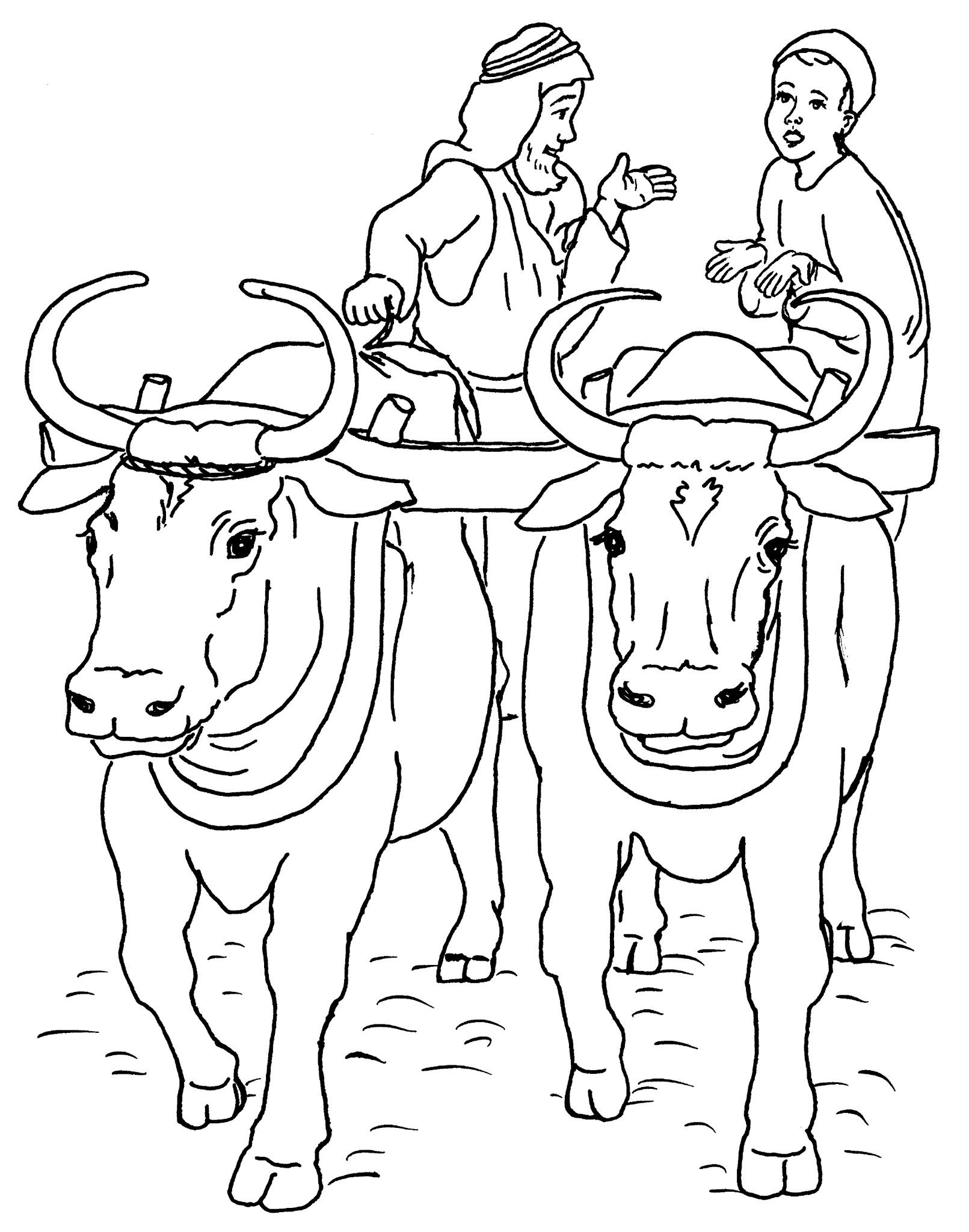 Dibujo para colorear: Res (Animales) #1356 - Dibujos para Colorear e Imprimir Gratis